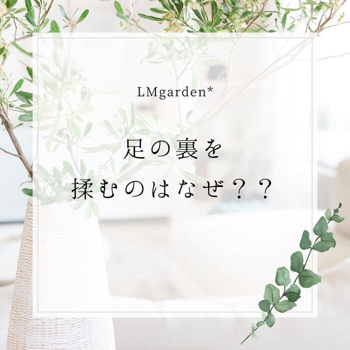 画像1518