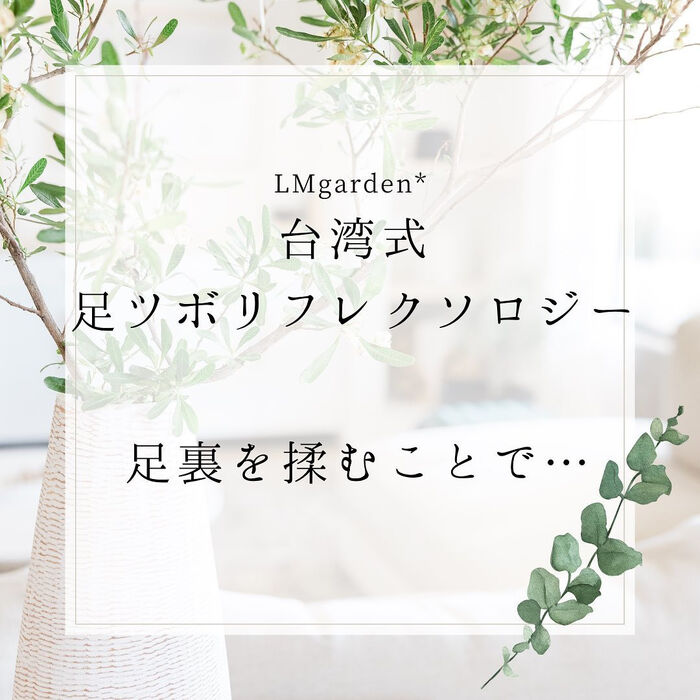 画像1520